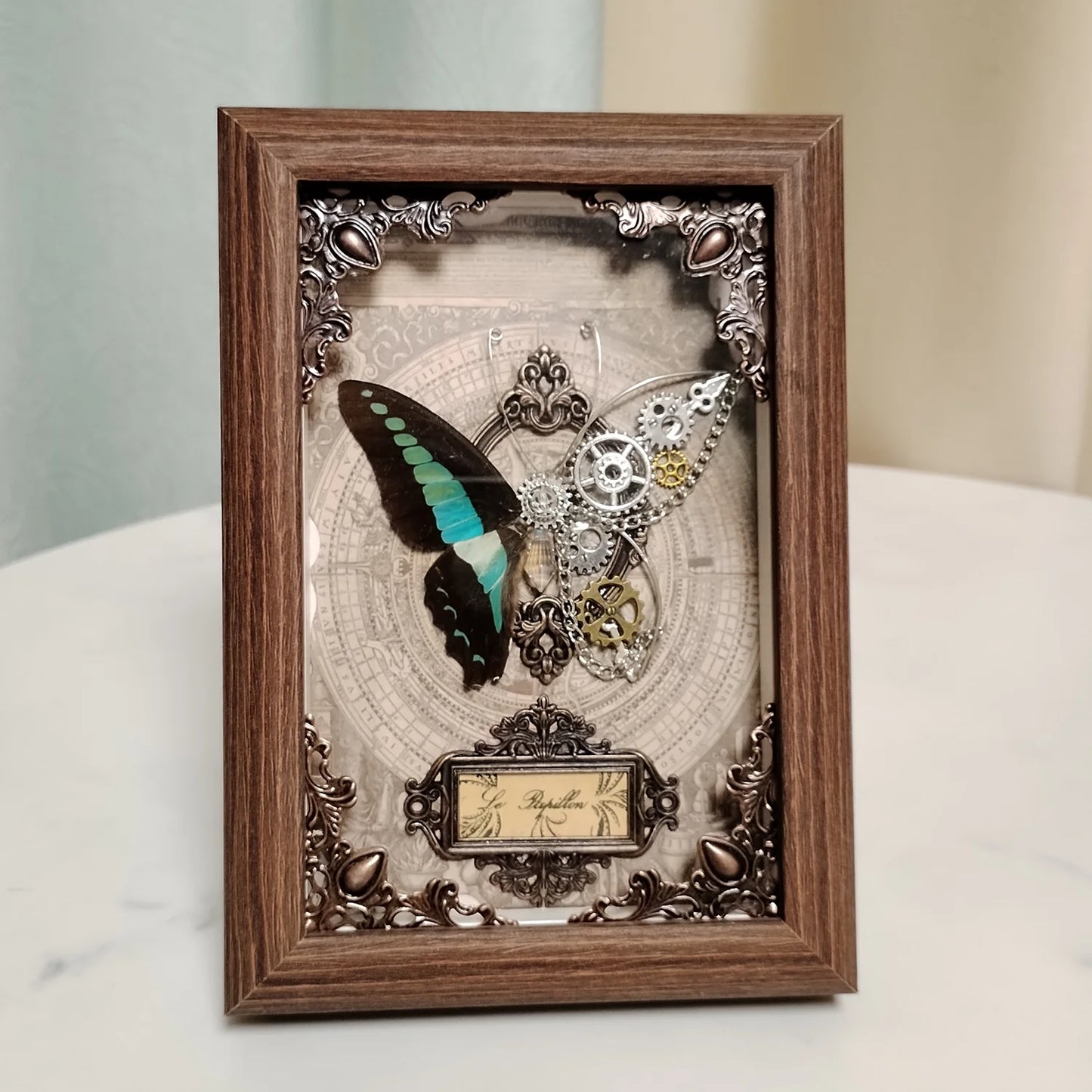 Real Butterfly Specimen Framed 3D Mechanical Butterflies Collection Punk Retro Style Handcraft Home Decor Education Unique Gift