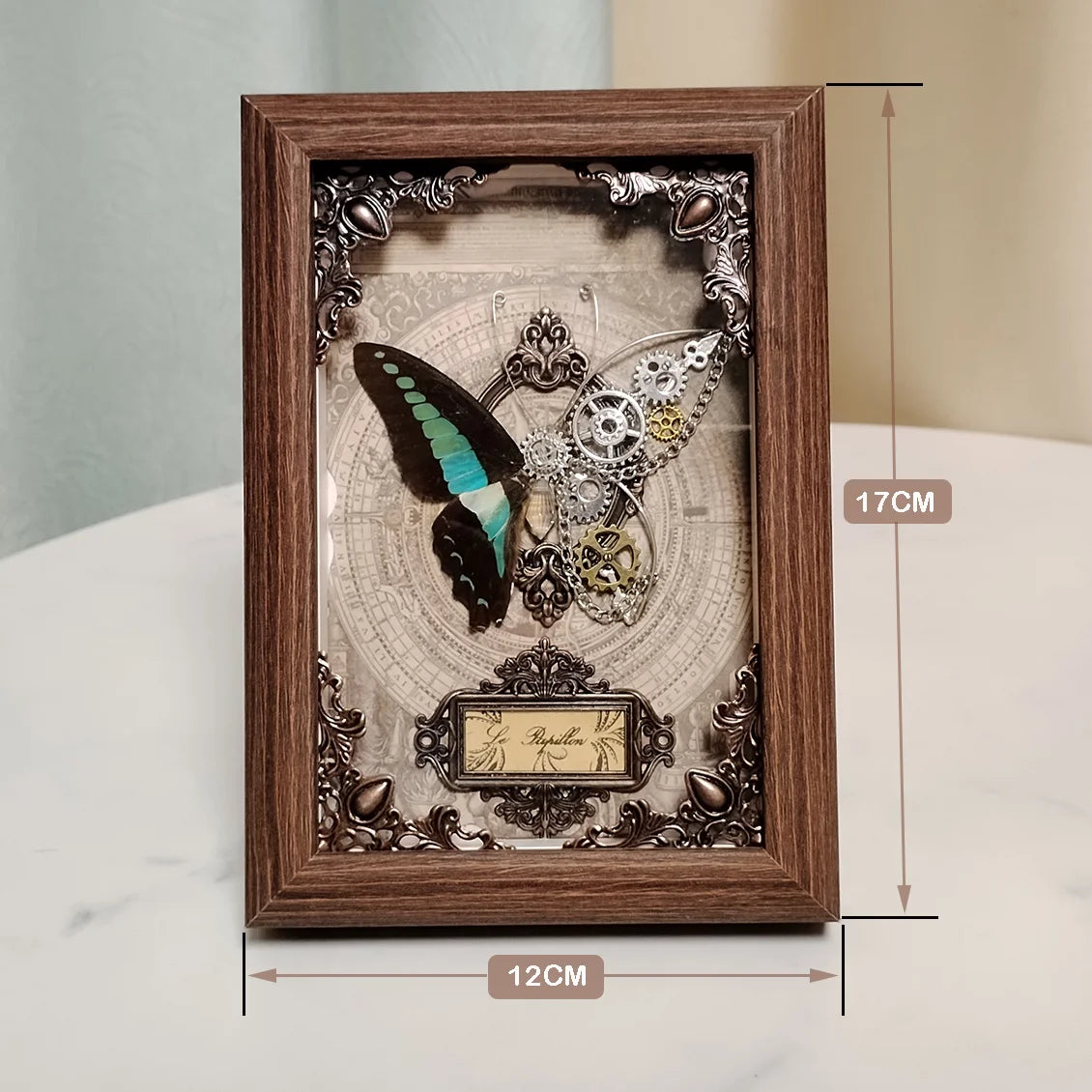 Real Butterfly Specimen Framed 3D Mechanical Butterflies Collection Punk Retro Style Handcraft Home Decor Education Unique Gift