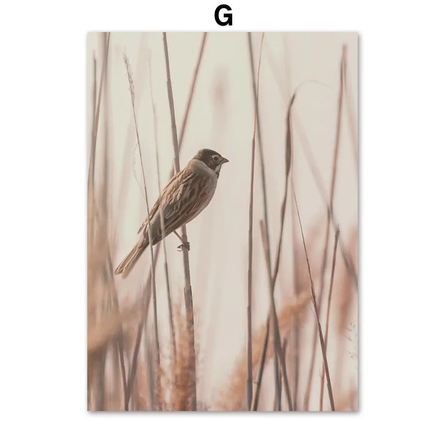 Neutral Beige Wall Art Mural Canvas Prints Boho Nature Landscape Highland Cow Coastal Pampas Grass Plant Posters Room Home Decor